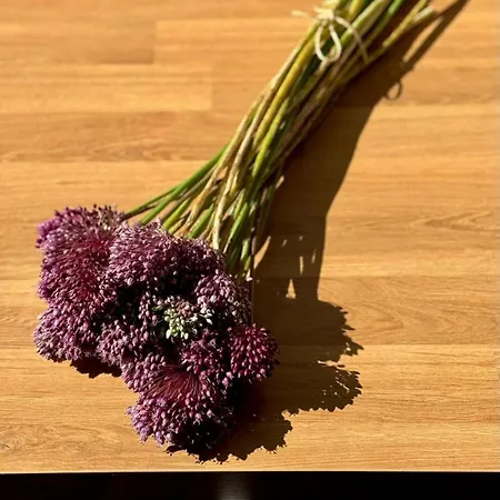 La Palamita House Διαμέρισμα *