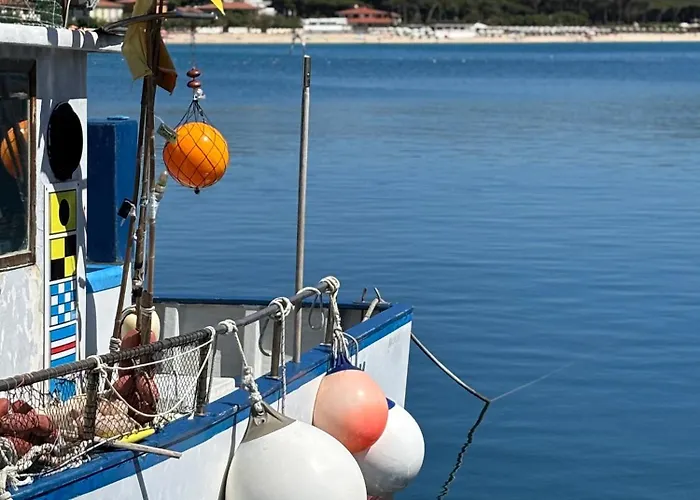 Appartamento La Palamita House *