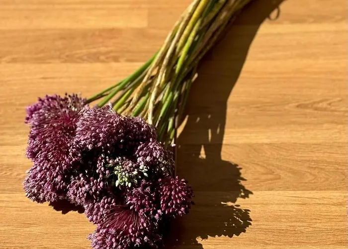 La Palamita House Apartamento *